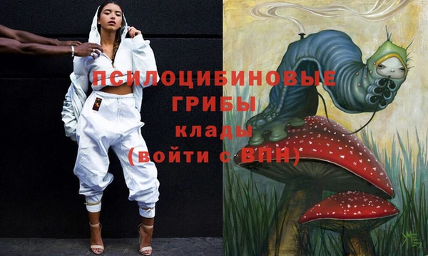 гидра Каменск-Шахтинский