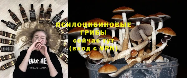 гидра Каменск-Шахтинский